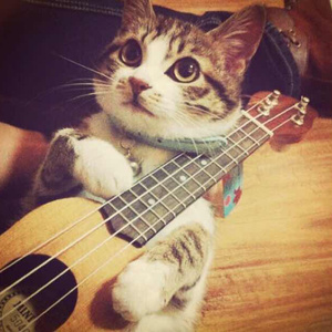 熟女大骚逼喜欢又粗又大
